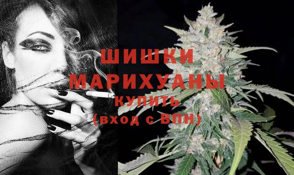 стаф Волгодонск